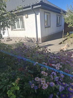casa si gradina cu pomi fructiferi si vie