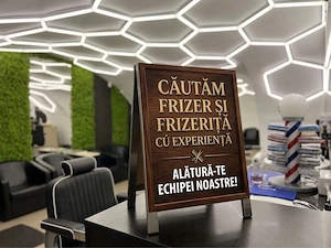 Frizer sau Frizerita 