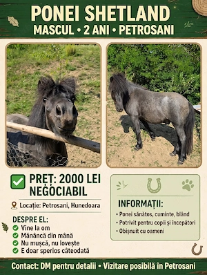 Vând ponei!!!