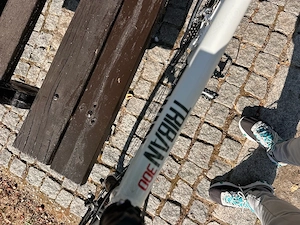 Bicicleta Cursiera