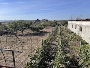 Casă de vânzare în Câlnic, Gorj - 18 km de Târgu Jiu - imagine 9
