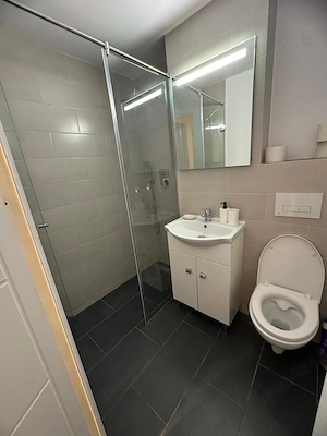 Proprietar   apartament 2 camere renovat, Lacul Tei - imagine 6