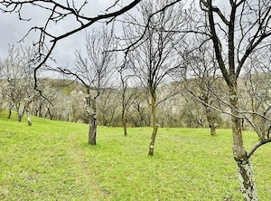 Vând teren intravilan, zona de munte superbă!  - imagine 4