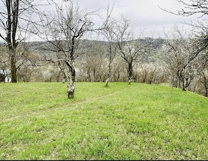 Vând teren intravilan, zona de munte superbă!  - imagine 2