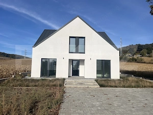 Casa de vanzare, 185 mp, 823 mp, zona Remetea – Unirii  - imagine 3