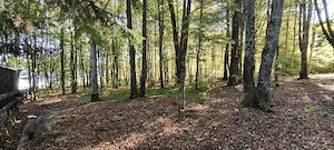 TEREN Intravilan 500-1000mp | Cadru natural deosebit  | OCAZIE DE INVESTITIE  - imagine 3