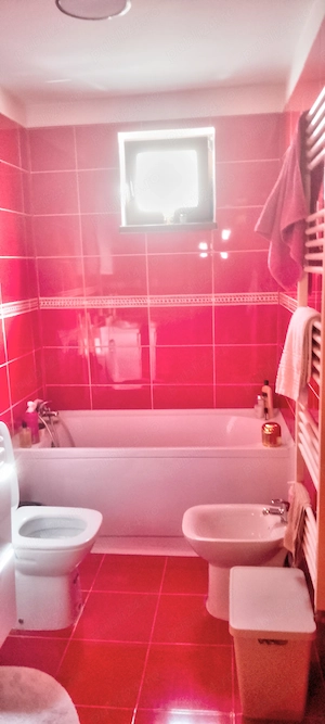 Apartament 2 camere Precista Mall Shopping City Piatra Neamt - imagine 4