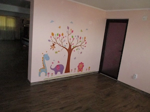 Casa de vanzare cu teren de 3.804 mp in Valea Canepii, Jud. Braila - imagine 4