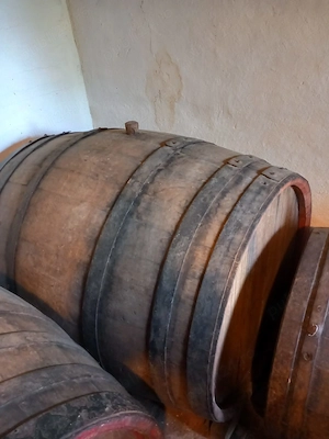 Vand butoaie pentru vin - lemn de stejar
