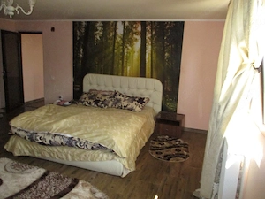 Casa de vanzare cu teren de 3.804 mp in Valea Canepii, Jud. Braila - imagine 7