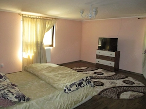 Casa de vanzare cu teren de 3.804 mp in Valea Canepii, Jud. Braila - imagine 6