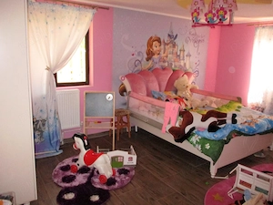 Casa de vanzare cu teren de 3.804 mp in Valea Canepii, Jud. Braila - imagine 10
