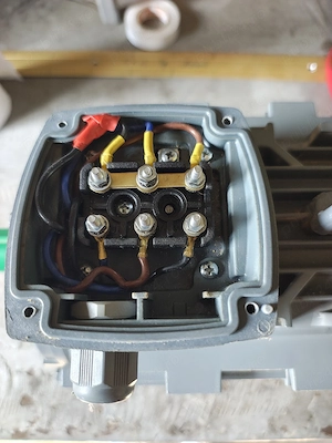 Motor electric trifazat 3kw 2905/2915/3000 rpm