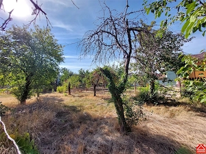 Teren pentru casa in Gradiste, partea dreapta - imagine 4
