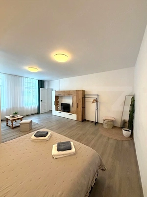 Apartament 2 camere, 60 mp, zona Farmec - imagine 3