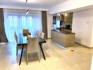 Vânzare 4 Camere Bulevardul Unirii Vis-a-vis Zepter / Rond Alba Iulia) | 110 mp - imagine 3