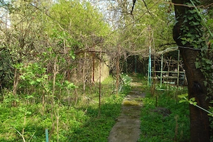 De vanzare casa, in zona Balcescu - imagine 19