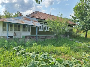Vând casă + teren intravilan 2170 m2 - imagine 3