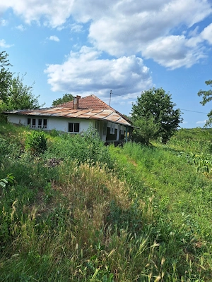 Vând casă + teren intravilan 2170 m2 - imagine 4