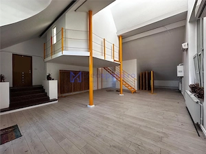 Spatii birouri de la 55mp la 118mp, terasa, central Iasi, str. Armeana - imagine 11
