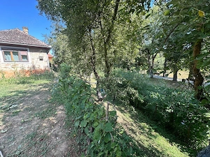 Bocsa Montana, Casa Cocheta de Vacanta sau investitie, Zona Pitoreasca - imagine 8