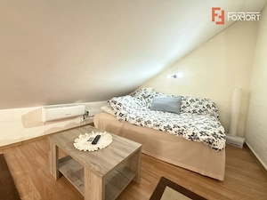COMISION 0% Apartament cu 1 camera, de vanzare in zona Lipovei - imagine 17