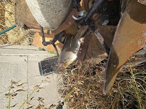 Vând Tractor si Utilaje după el - imagine 10
