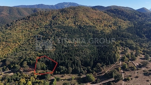 Aproape de Brașov, departe de agitație - Teren cu pădure în Cristian - imagine 5
