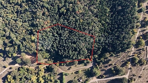 Aproape de Brașov, departe de agitație - Teren cu pădure în Cristian - imagine 3