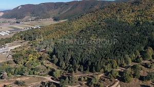 Aproape de Brașov, departe de agitație - Teren cu pădure în Cristian - imagine 9