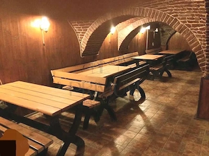 Spatiu comercial Pizzerie cu intrare din strada  - Traian - imagine 4