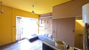 Pet Friendly | Garsonieră la casă | Curte proprie - imagine 5