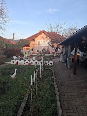 Vând proprietate deosebită,  în Ghioroc, jud. Arad   Casă cu 2 corpuri, teren 3000 mp, cu livadă și 