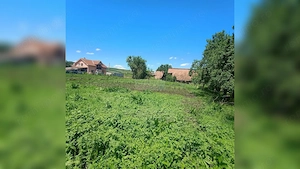 TEREN 1557MP CU UTILITĂȚI PRETABIBIL DUPLEX/CASĂ INDIVIDUALĂ JUCU CLUJ - imagine 2