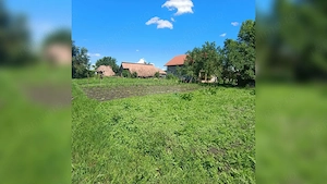 TEREN 1557MP CU UTILITĂȚI PRETABIBIL DUPLEX/CASĂ INDIVIDUALĂ JUCU CLUJ