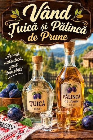 Vand tuica si palinca de prune! 