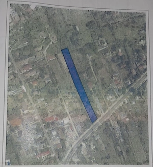 Teren Intravilan 2.422 MP   Ciofliceni, Snagov   Strada Principală   TOATE UTILITĂȚILE   ZONĂ LINIȘT
