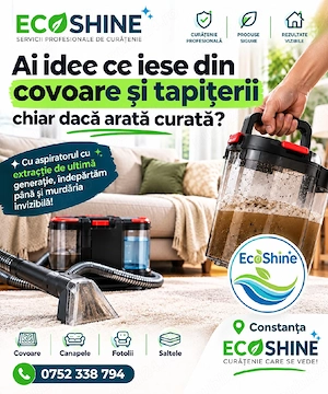 Ai ideea ce iese din covoare si tapițerii?