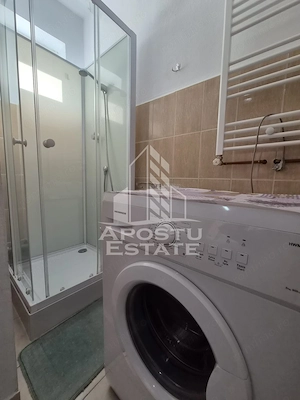 Apartament 1 camera curte comuna,zona Alfa - imagine 4