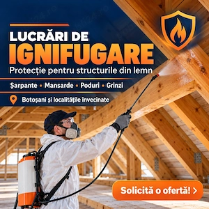 Lucrari de ignifugare, tratamente anticarii și antimucegai 