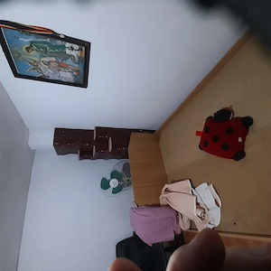 Schimb sau vand  casa la curte   in Lehliu Gara - imagine 5