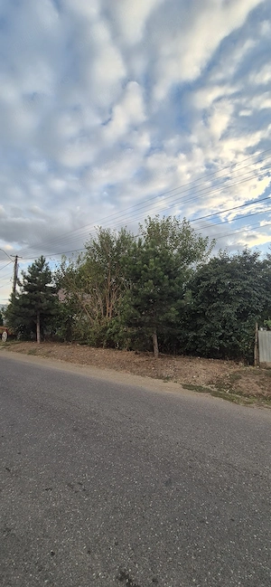 Teren intravilan 1.545 mp   Jariștea - imagine 5