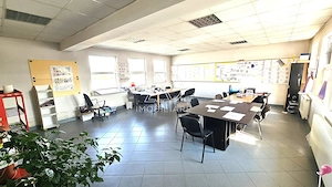 Proprietate industrială de vânzare   zona Iezureni   Ecaterina Teodoroiu, Târgu Jiu - imagine 6