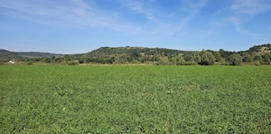 Teren 3500mp linga digul Oltului