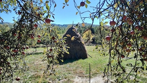 Teren intravilan in zona de munte