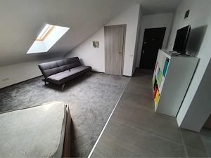 Apartament o camera de inchiriat in Dumbravita mansarda