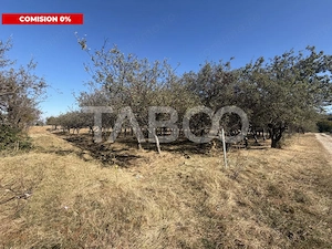 Teren intravilan 750 mp front stradal 17 m Statiunea Climaterica