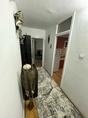 Apartament Timisoara 2 camere zona Sagului - imagine 8