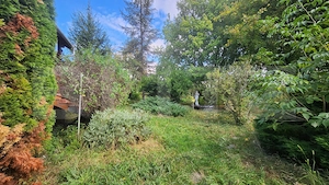 Casa de vanzare, 130 mp, teren 2230 mp, zona Unirii - imagine 13