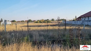 Teren intravilan in Satmarel 50 arii 55000 Euro - imagine 4